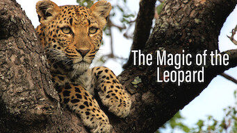 Die Magie des Leoparden (2012)