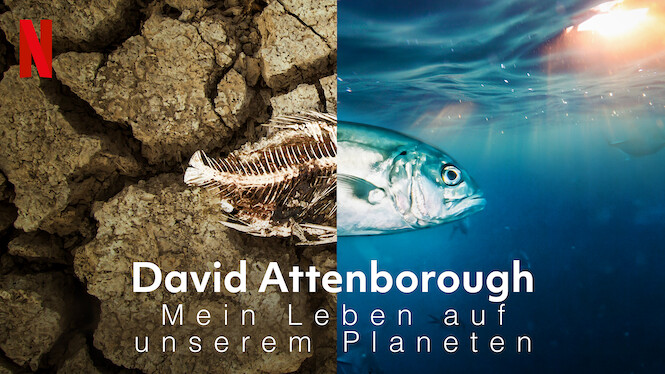 David Attenborough Mein Leben Auf Unserem Planeten 2020 Netflix Flixable